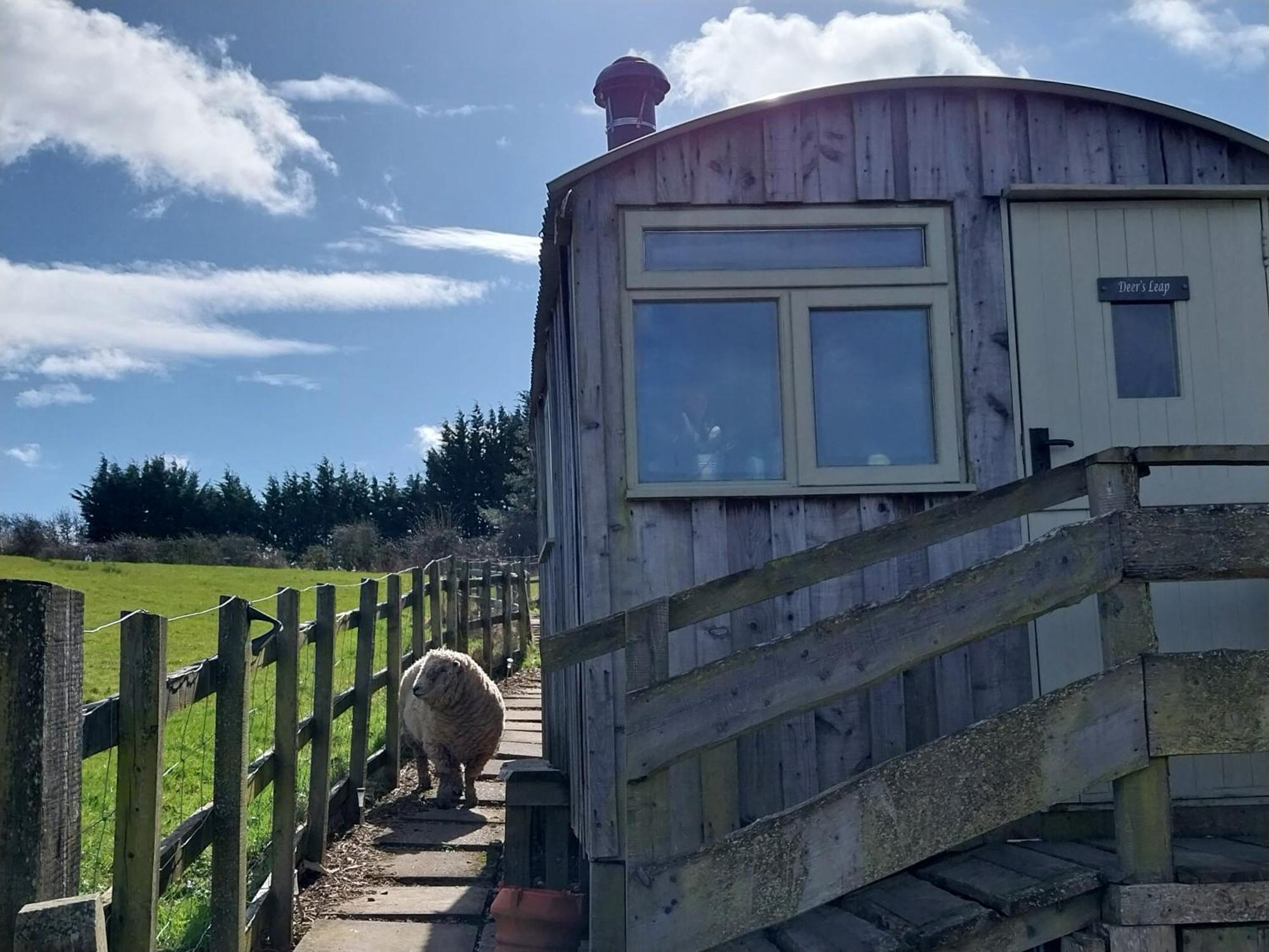 Meadowbeck - Shepherd Huts Fylingdales Exterior photo